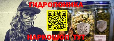 соль ск Будённовск