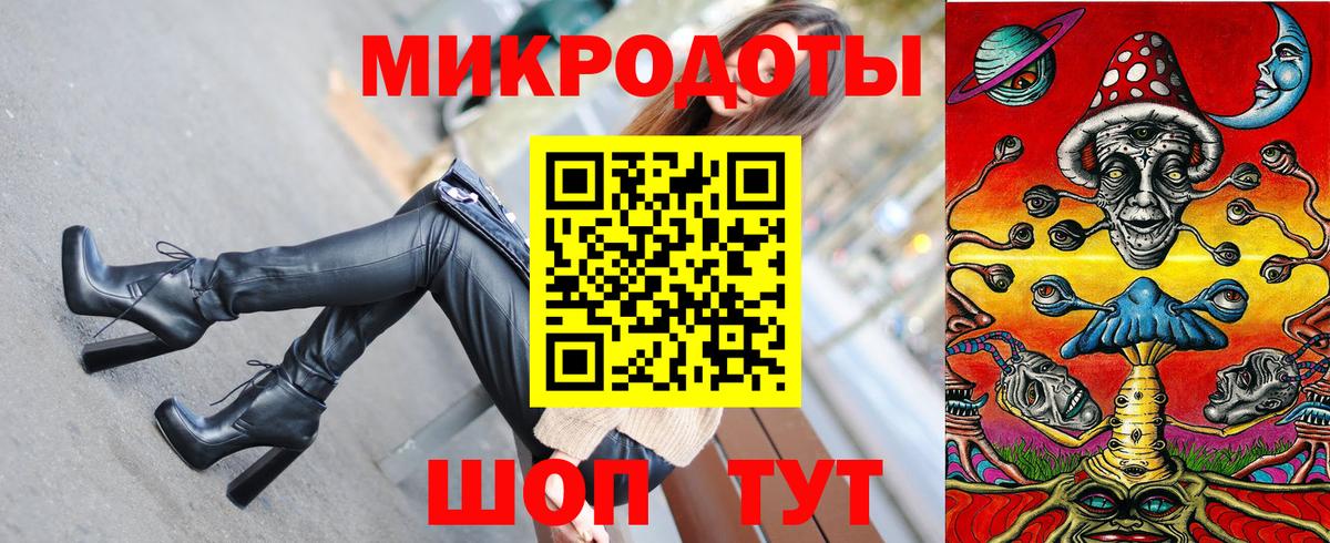 Псилоцибиновые грибы Psilocybe Курган