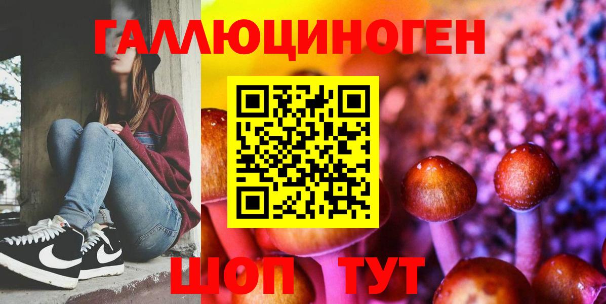Курган  Псилоцибиновые грибы MAGIC MUSHROOMS  Вход с VPN  Псилоцибиновые грибы Psilocybine cubensis 